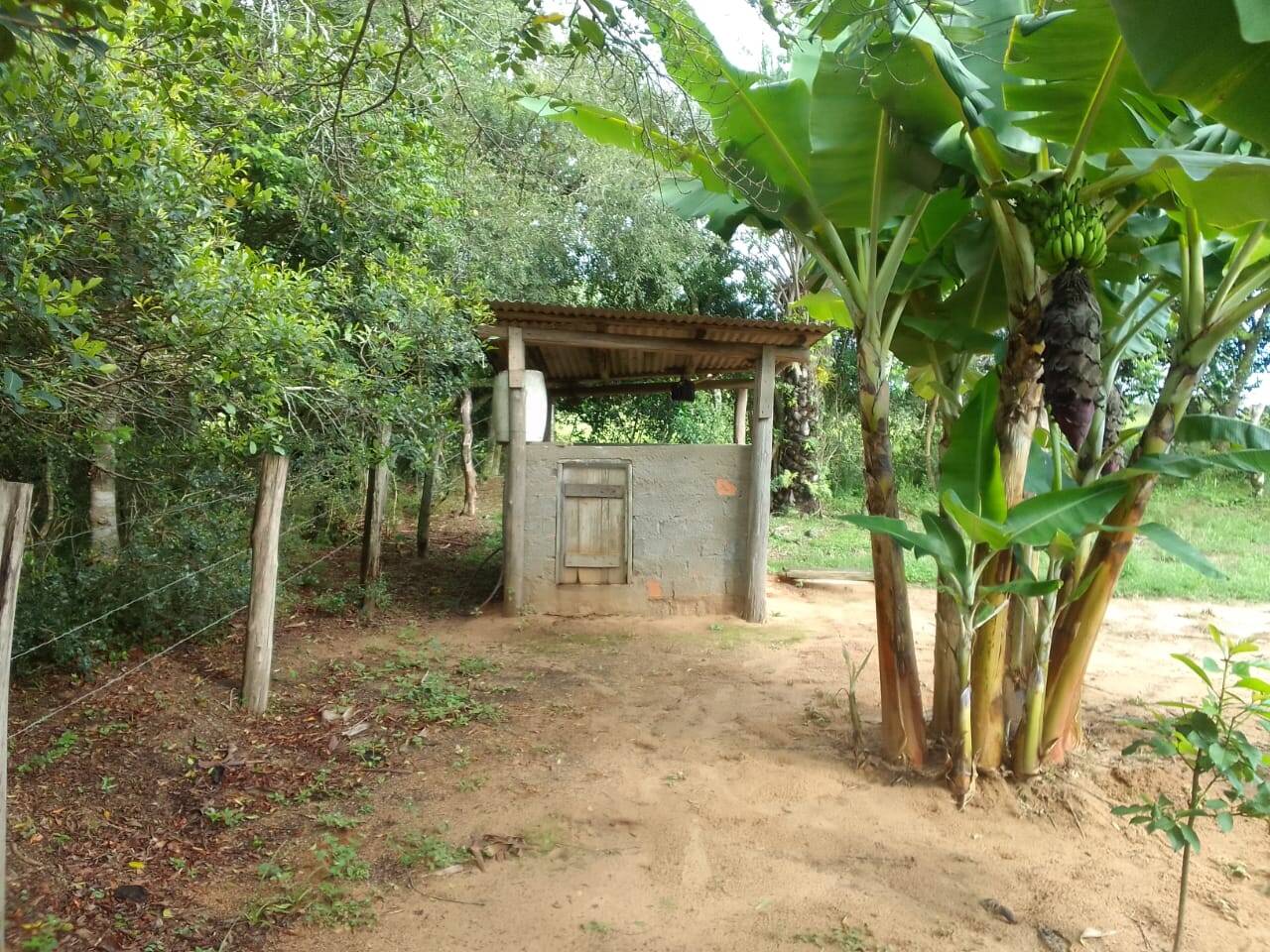 Sítio, 3 quartos, 2 hectares - Foto 14