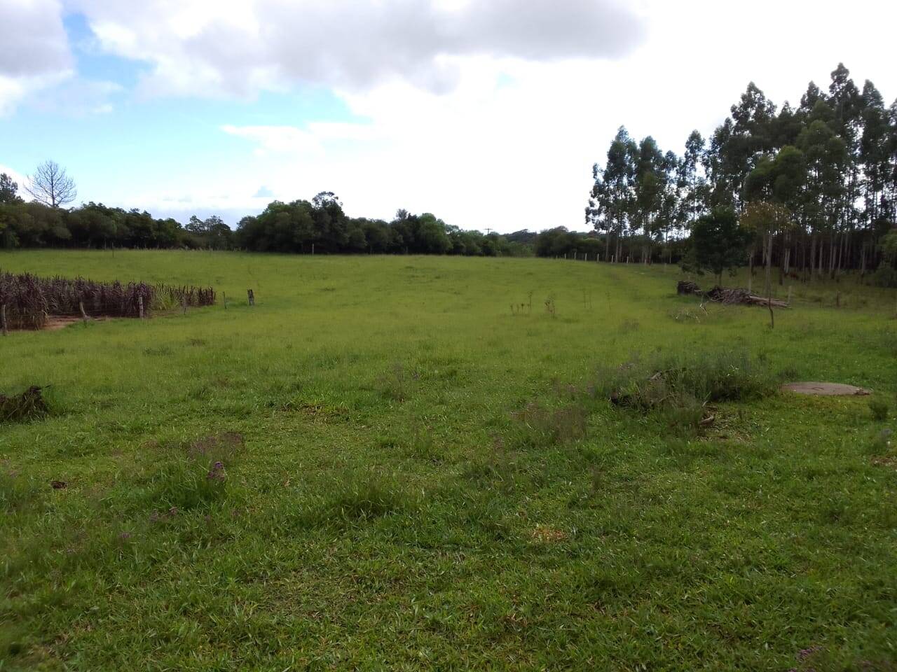 Sítio, 3 quartos, 2 hectares - Foto 13