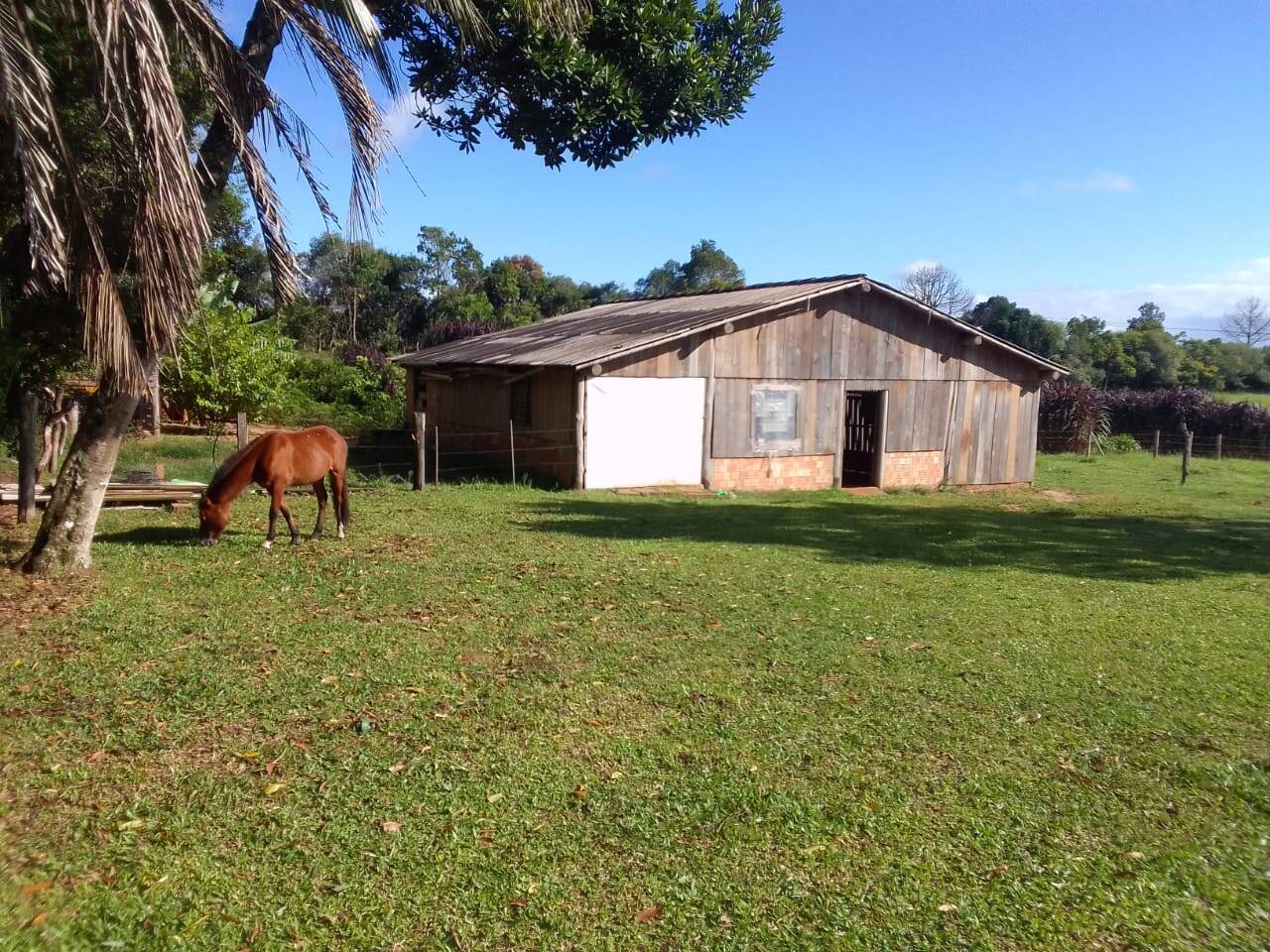 Sítio, 3 quartos, 2 hectares - Foto 25
