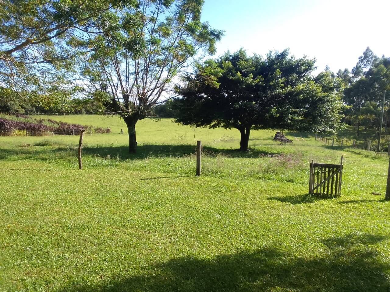 Sítio, 3 quartos, 2 hectares - Foto 26