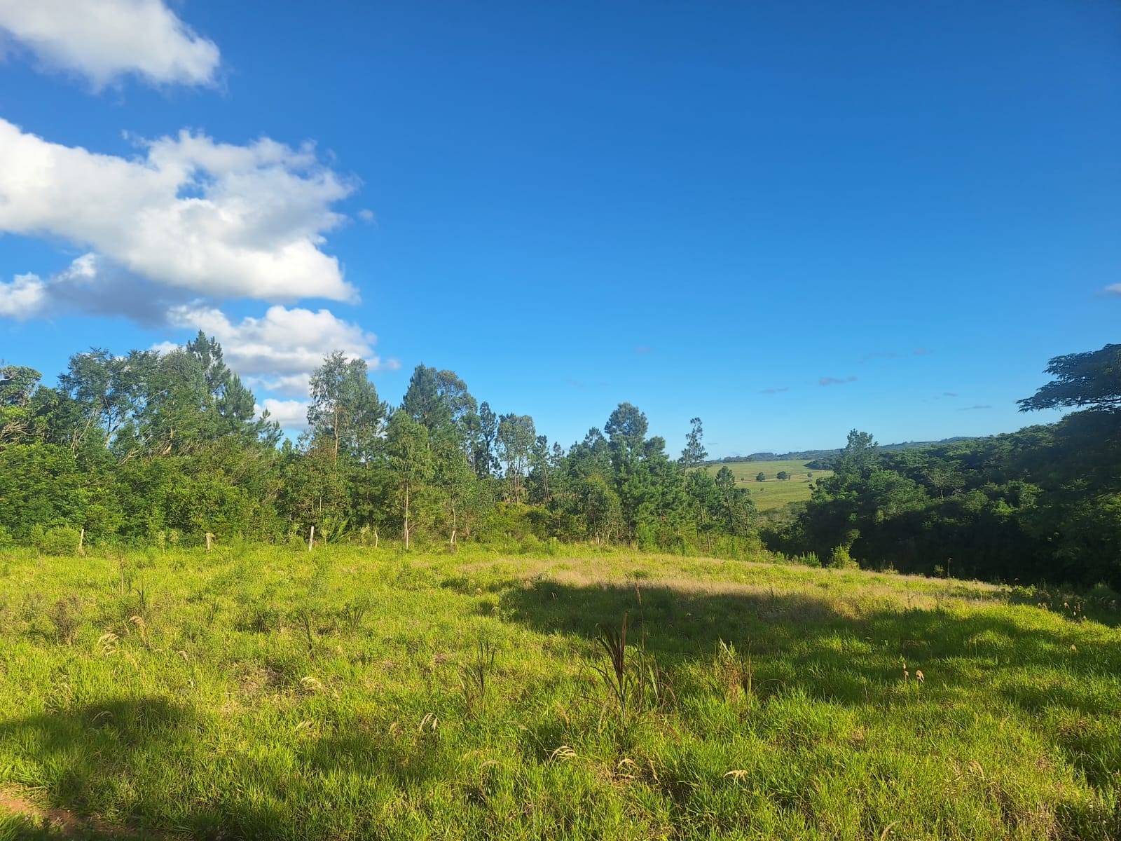 Terreno, 4550 m² - Foto 3