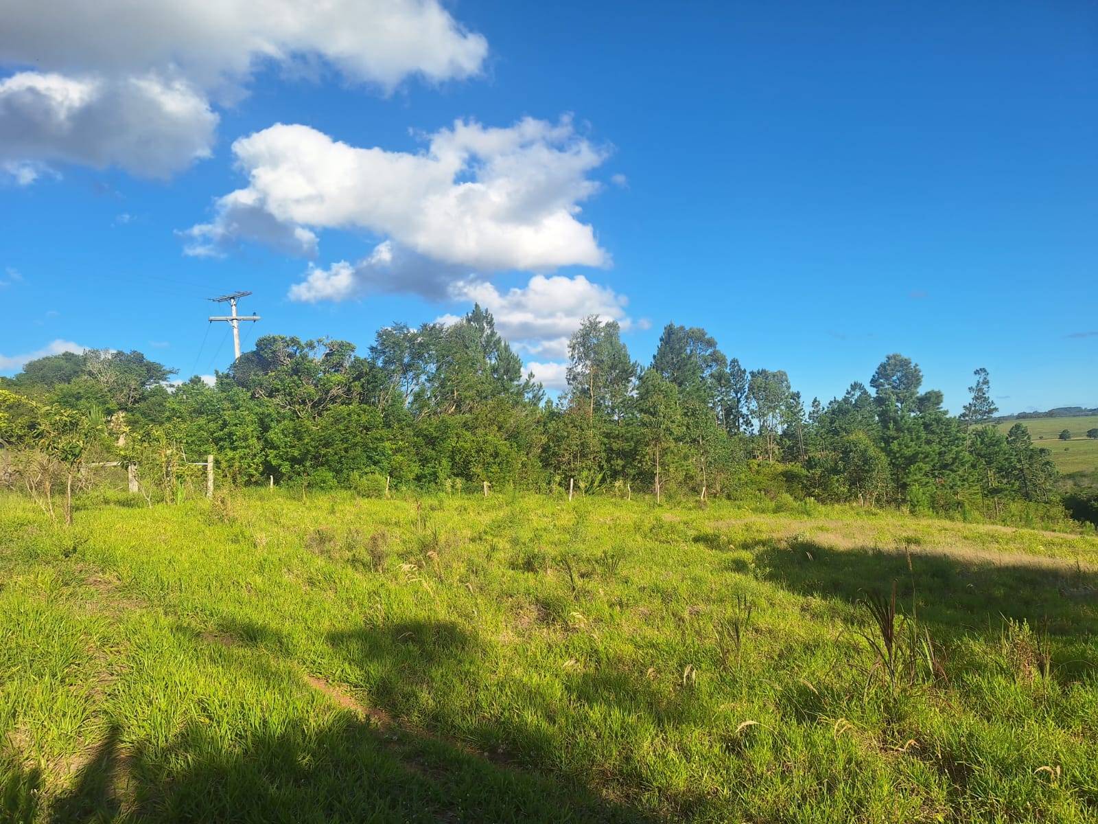 Terreno, 4550 m² - Foto 2