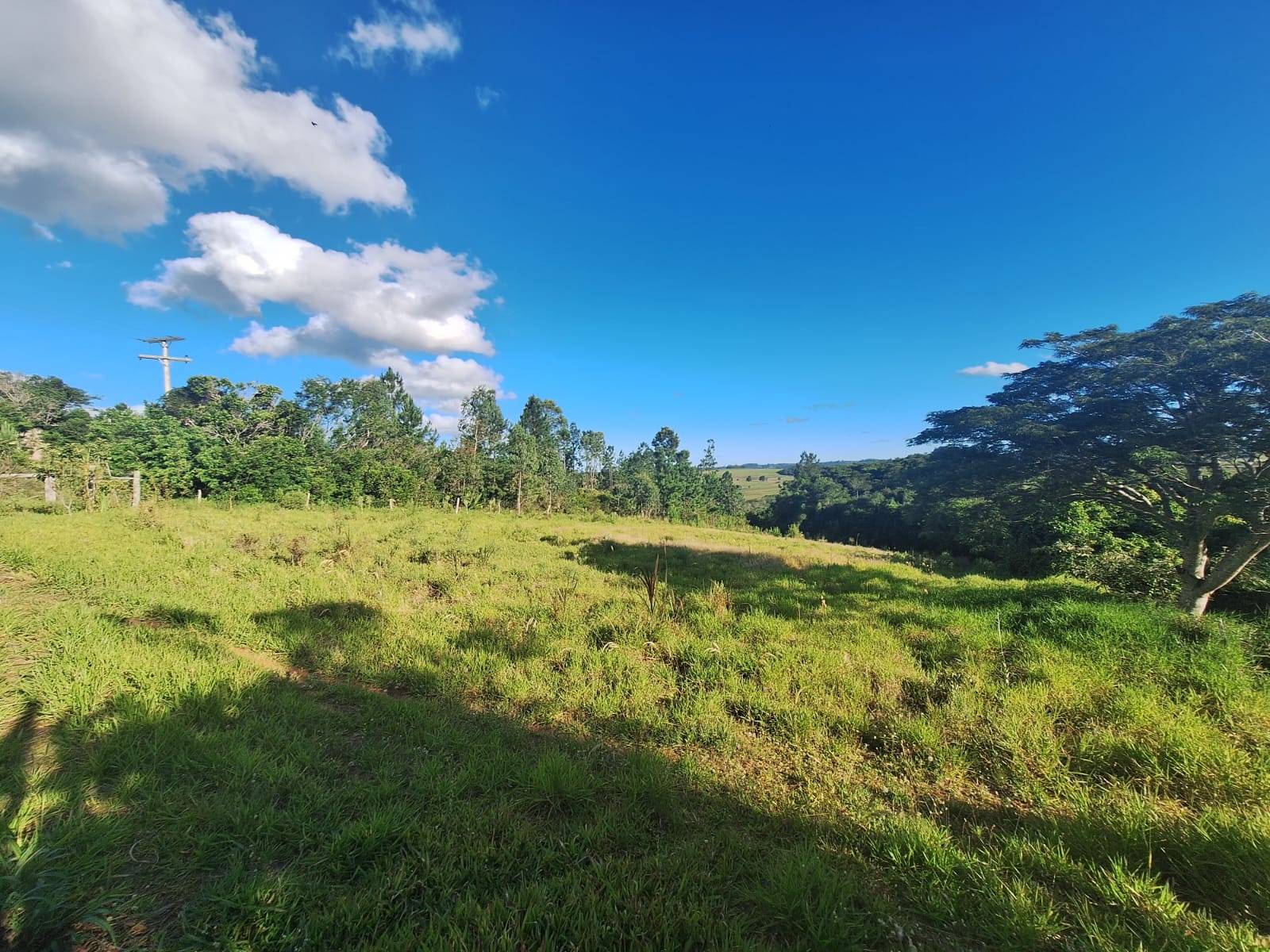 Terreno, 4550 m² - Foto 4