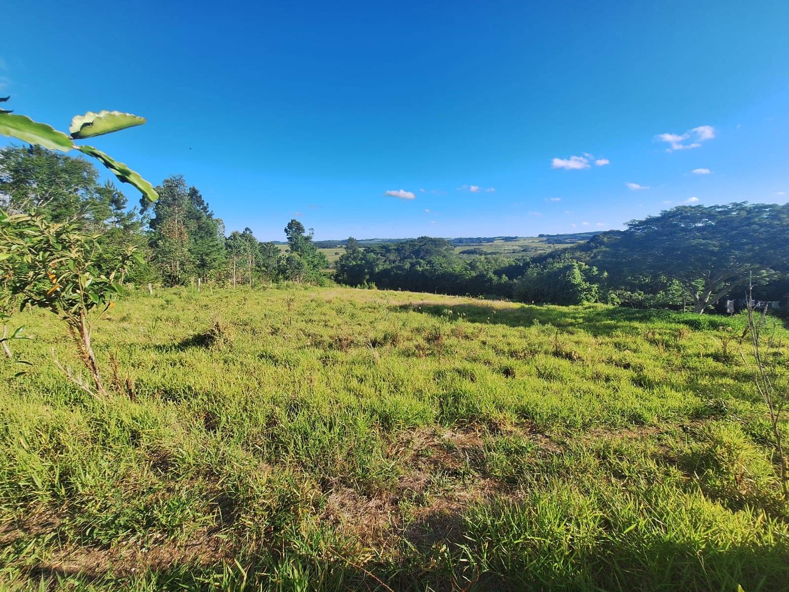 Terreno, 4550 m² - Foto 6