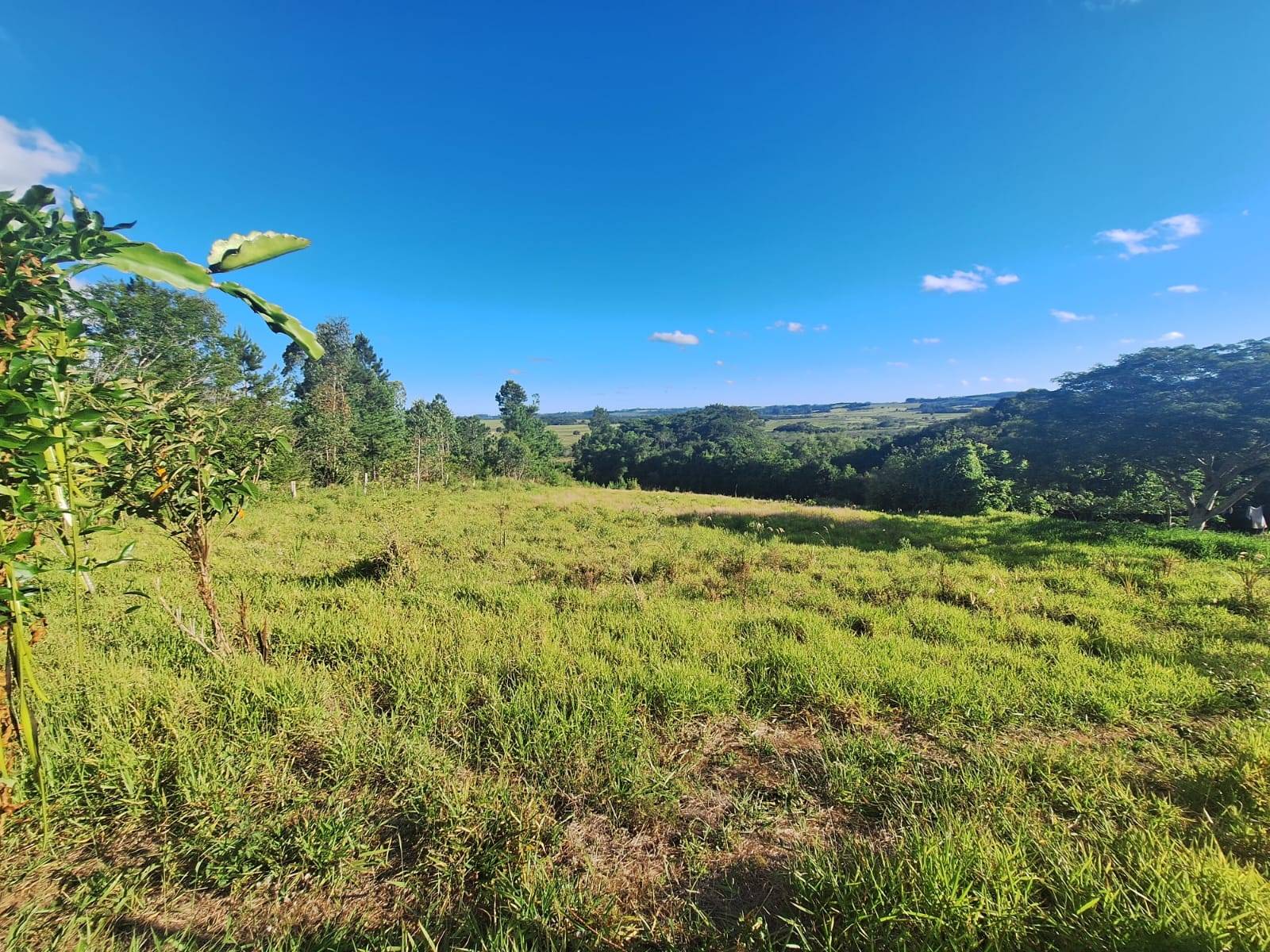 Terreno, 4550 m² - Foto 5