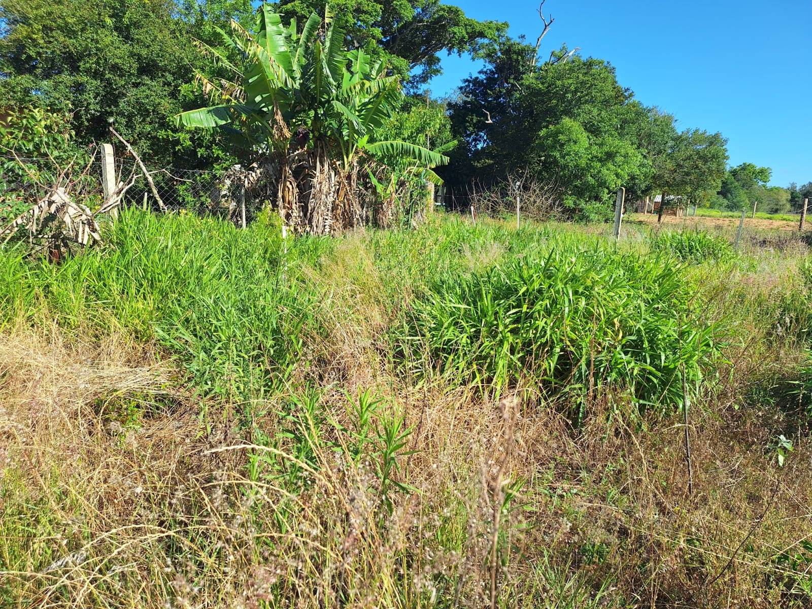 Casa, 2 quartos, 70 m² - Foto 13