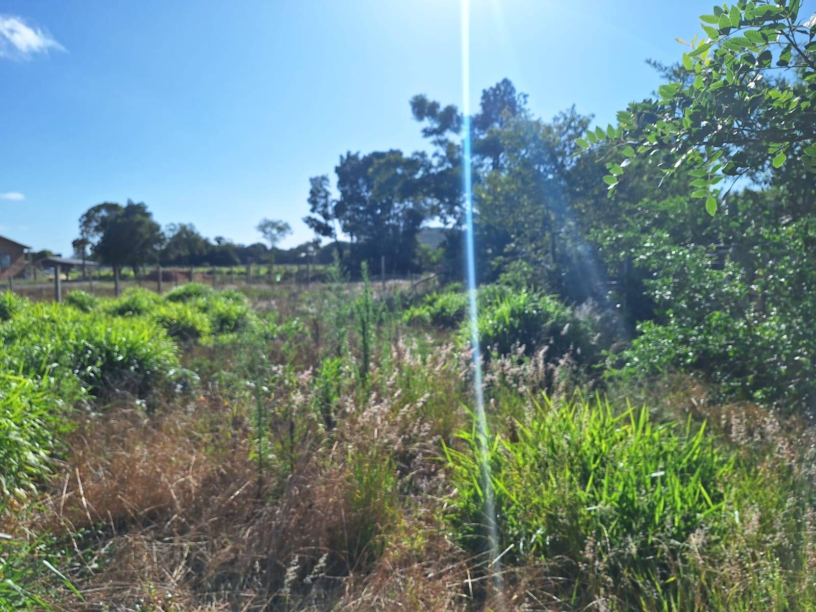 Casa, 2 quartos, 70 m² - Foto 14