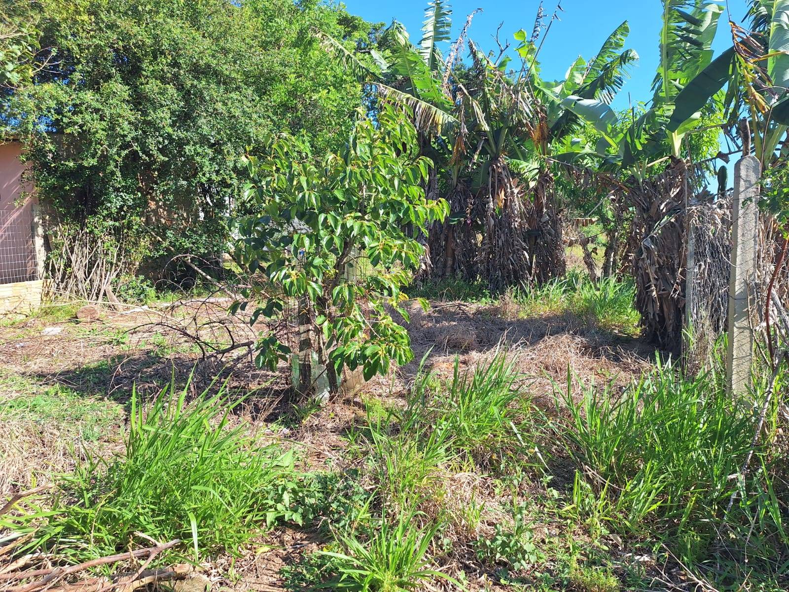 Casa, 2 quartos, 70 m² - Foto 15