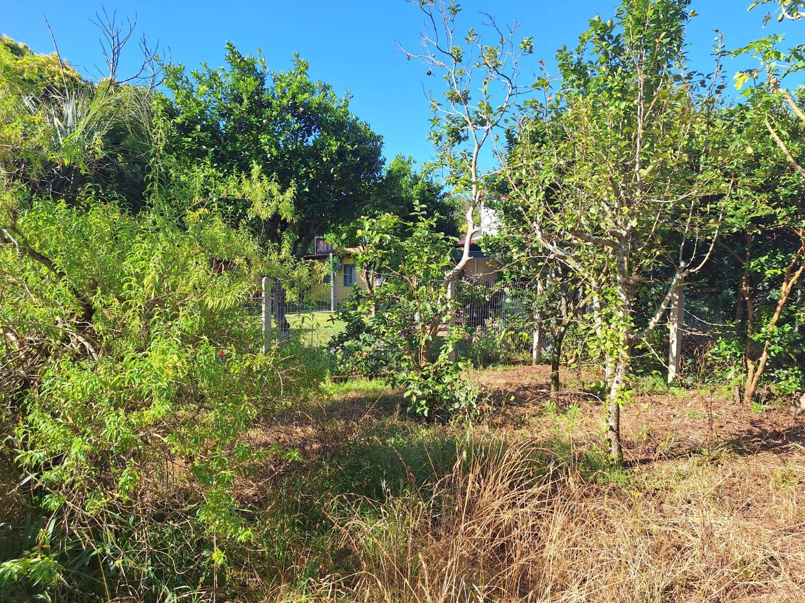 Casa, 2 quartos, 70 m² - Foto 16