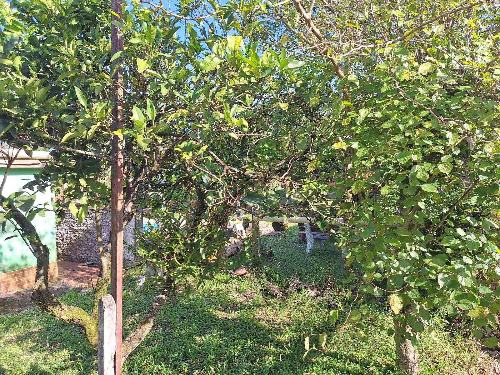 Casa, 2 quartos, 70 m² - Foto 25