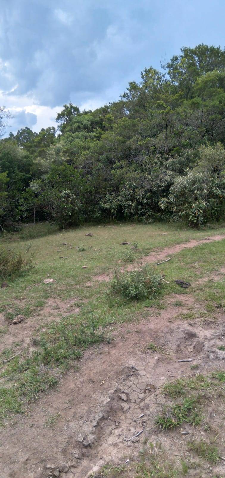 Terreno, 9 hectares - Foto 7