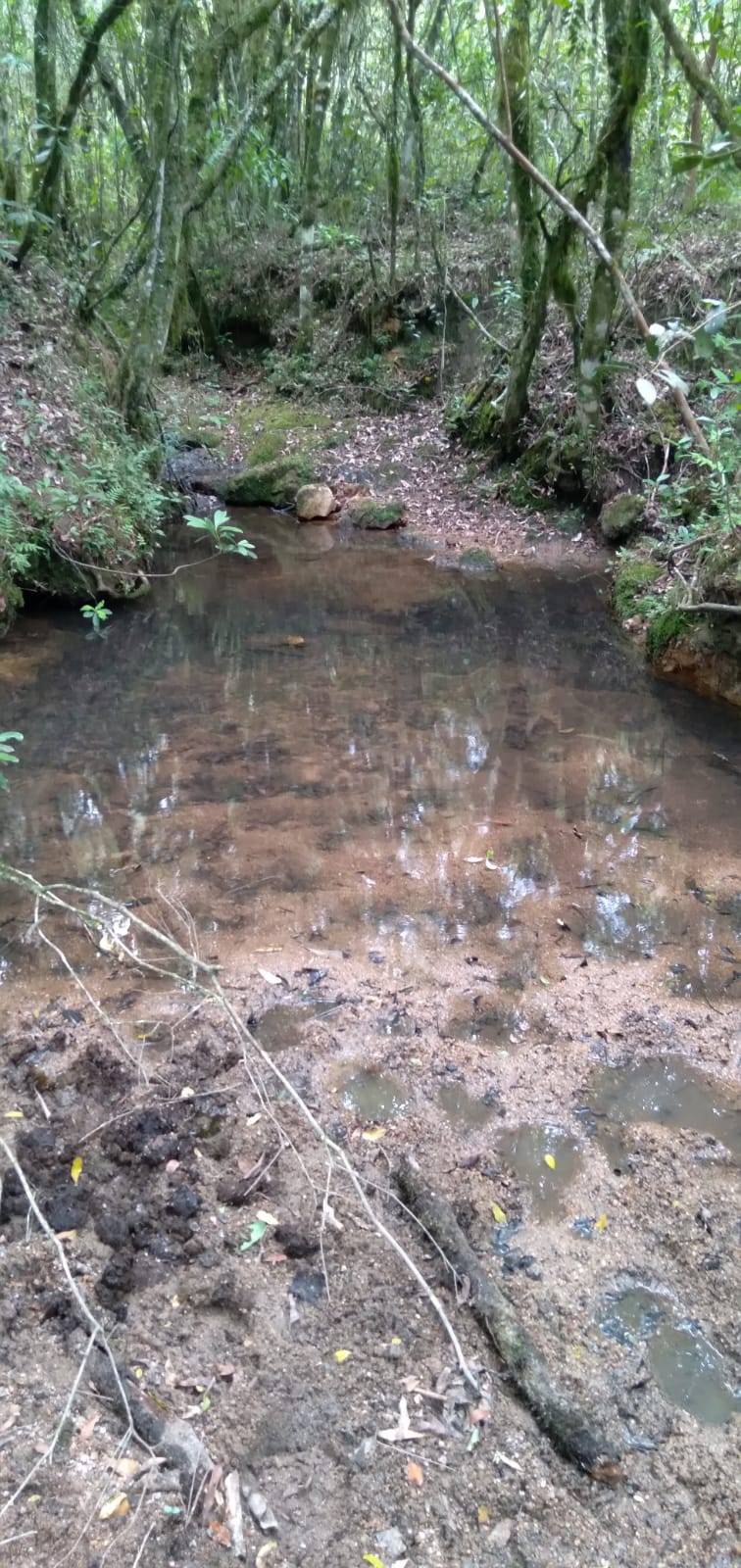 Terreno, 9 hectares - Foto 8