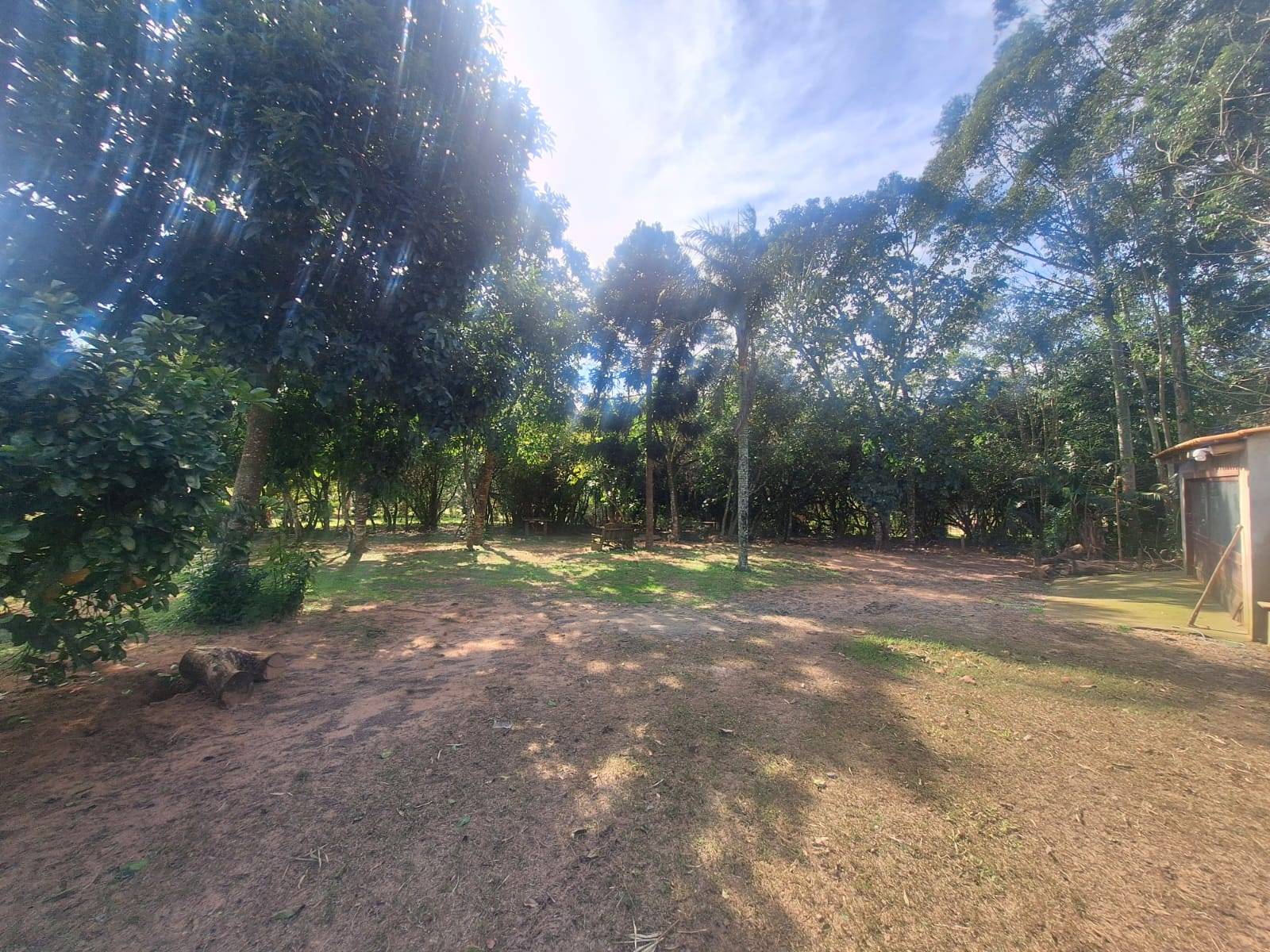 Casa, 4 quartos - Foto 17