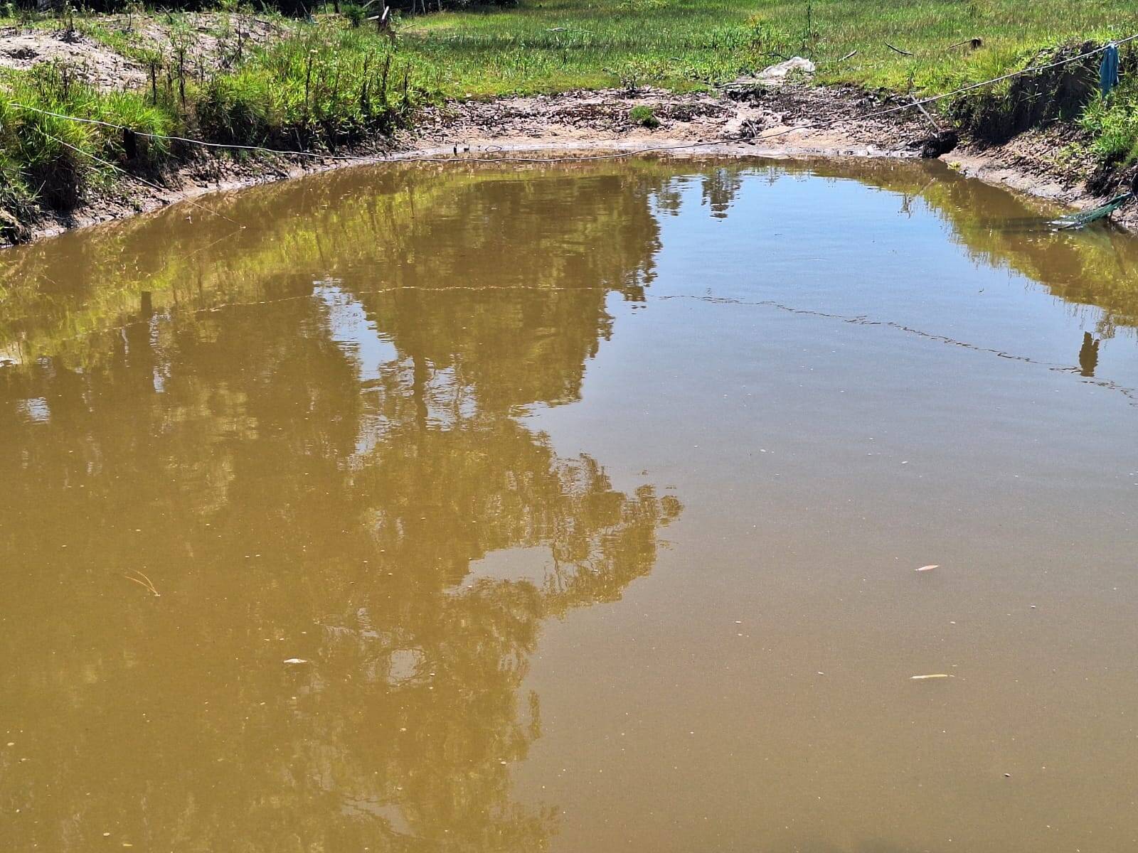 Sítio, 3 quartos, 1 hectares - Foto 12