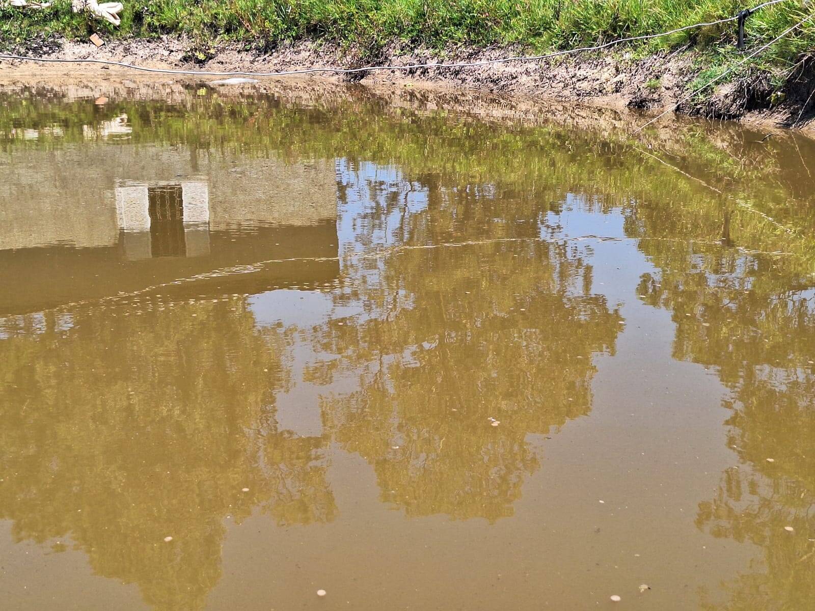 Sítio, 3 quartos, 1 hectares - Foto 14