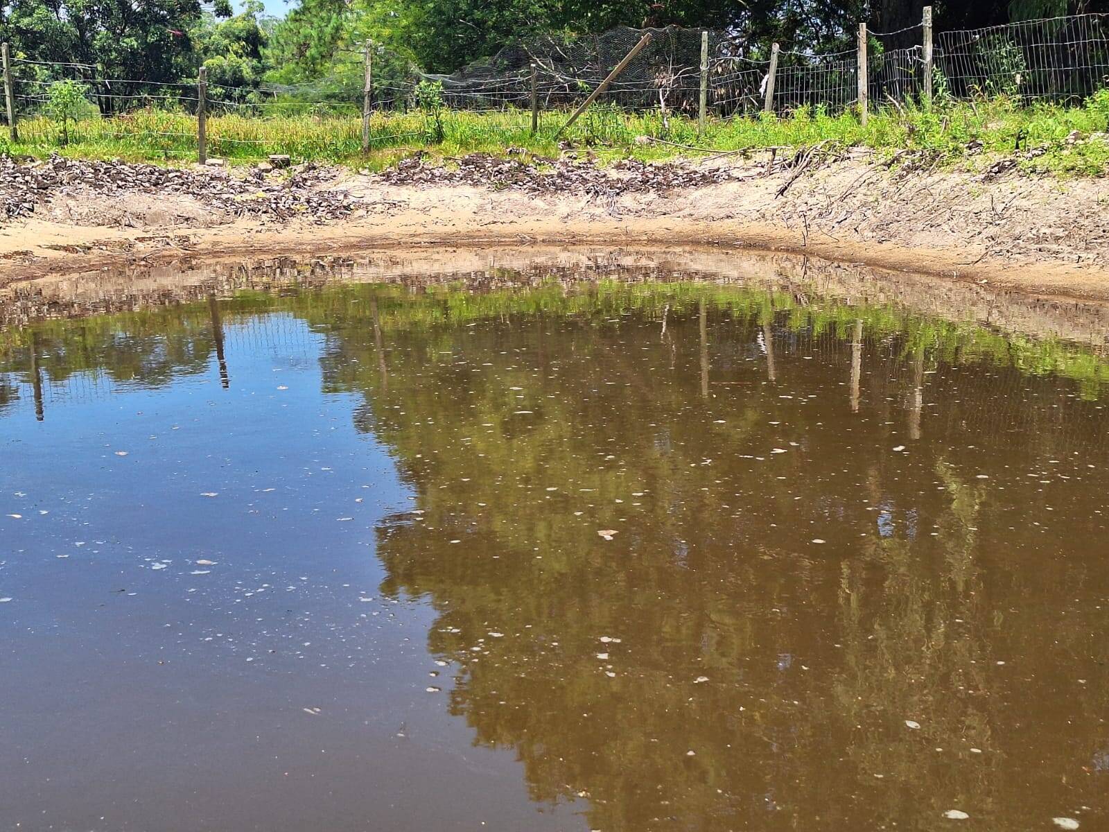 Sítio, 3 quartos, 1 hectares - Foto 15