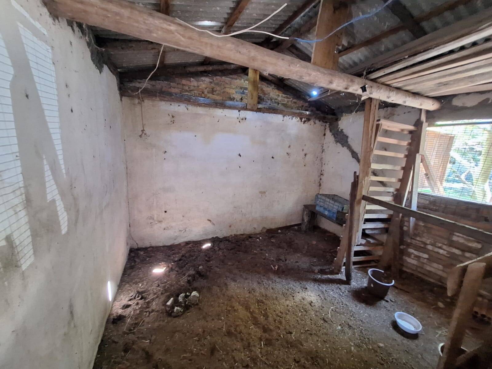 Sítio, 3 quartos, 1 hectares - Foto 18