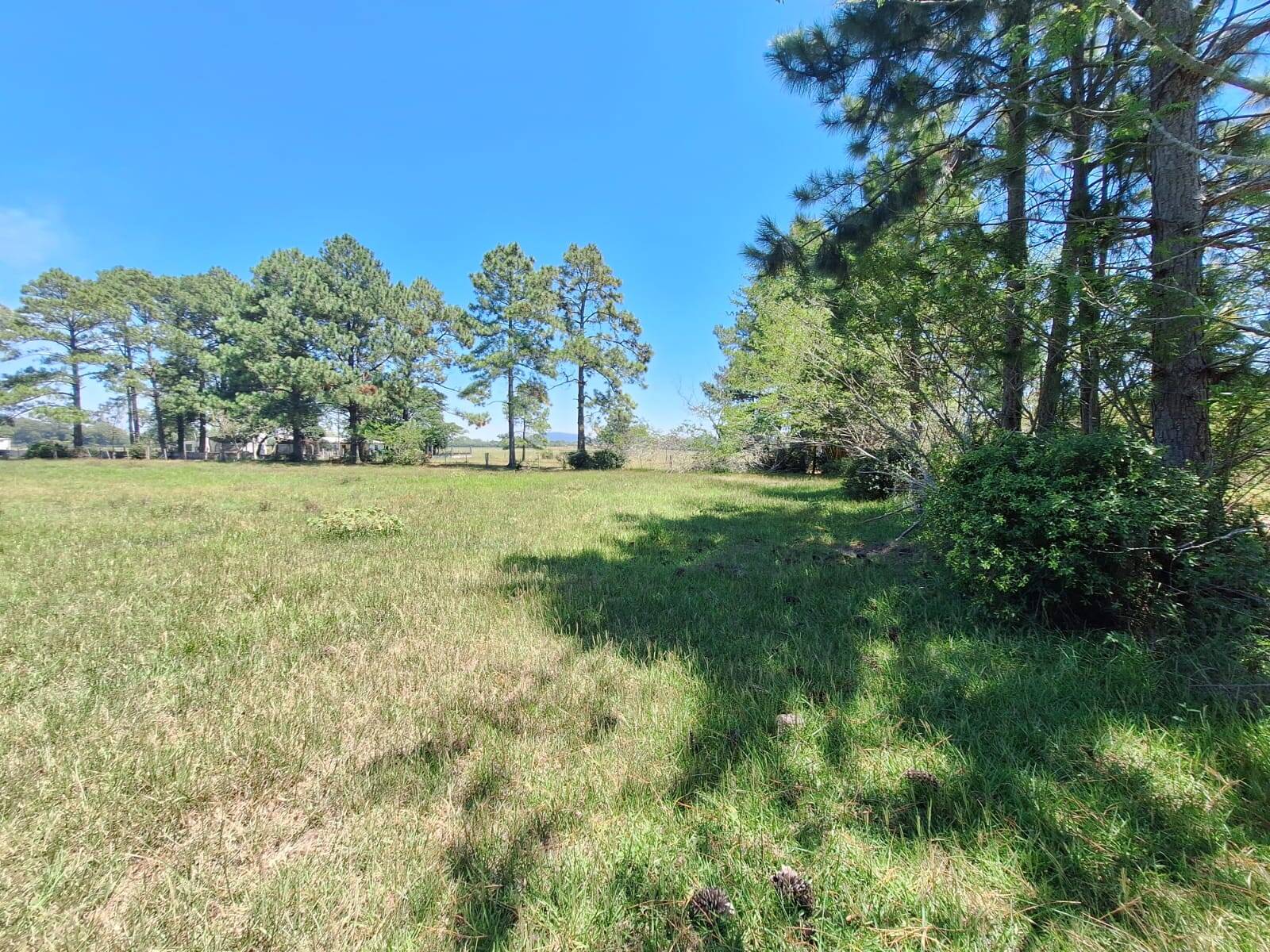 Sítio, 3 quartos, 1 hectares - Foto 22