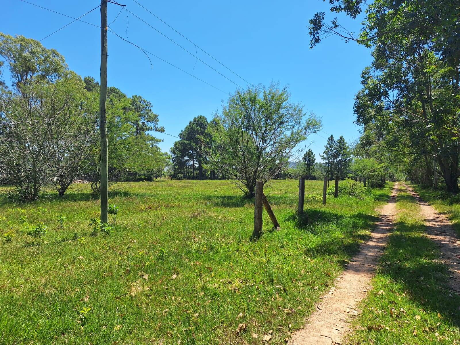 Sítio, 3 quartos, 1 hectares - Foto 23