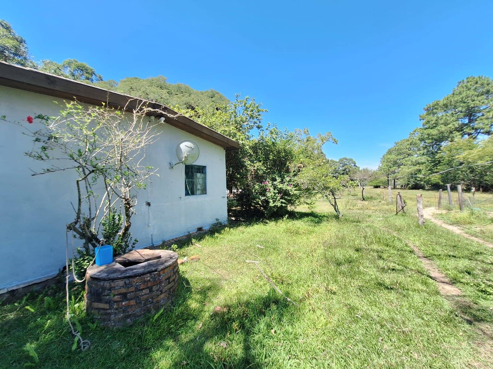 Sítio, 3 quartos, 1 hectares - Foto 26