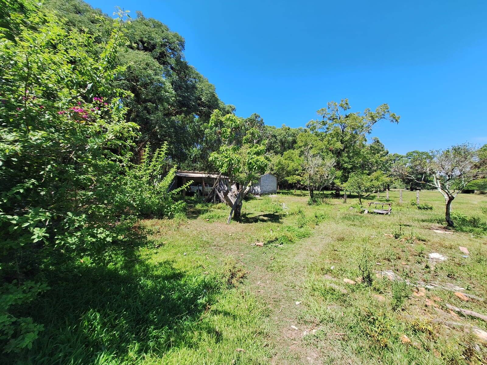 Sítio, 3 quartos, 1 hectares - Foto 25