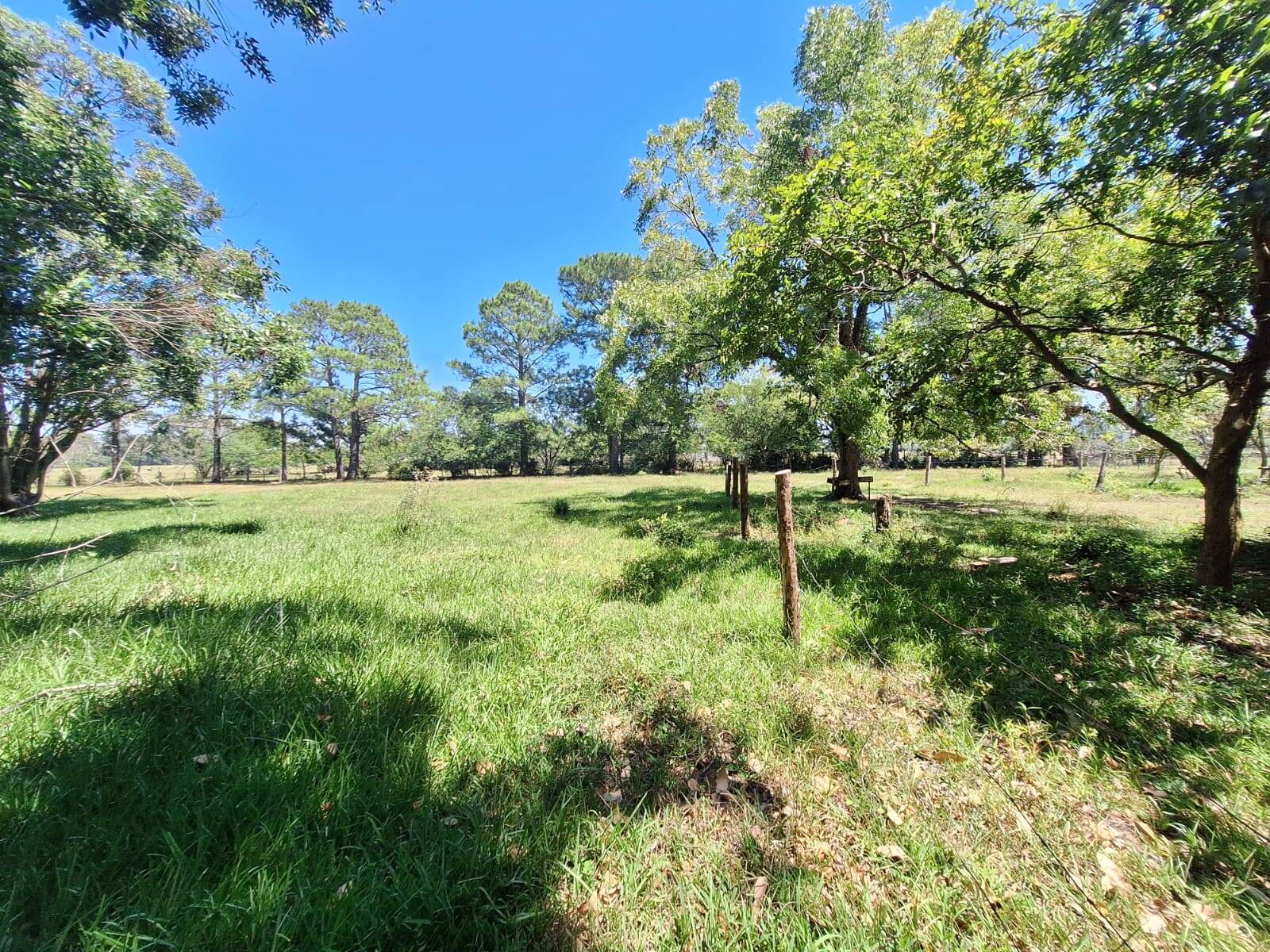 Sítio, 3 quartos, 1 hectares - Foto 27