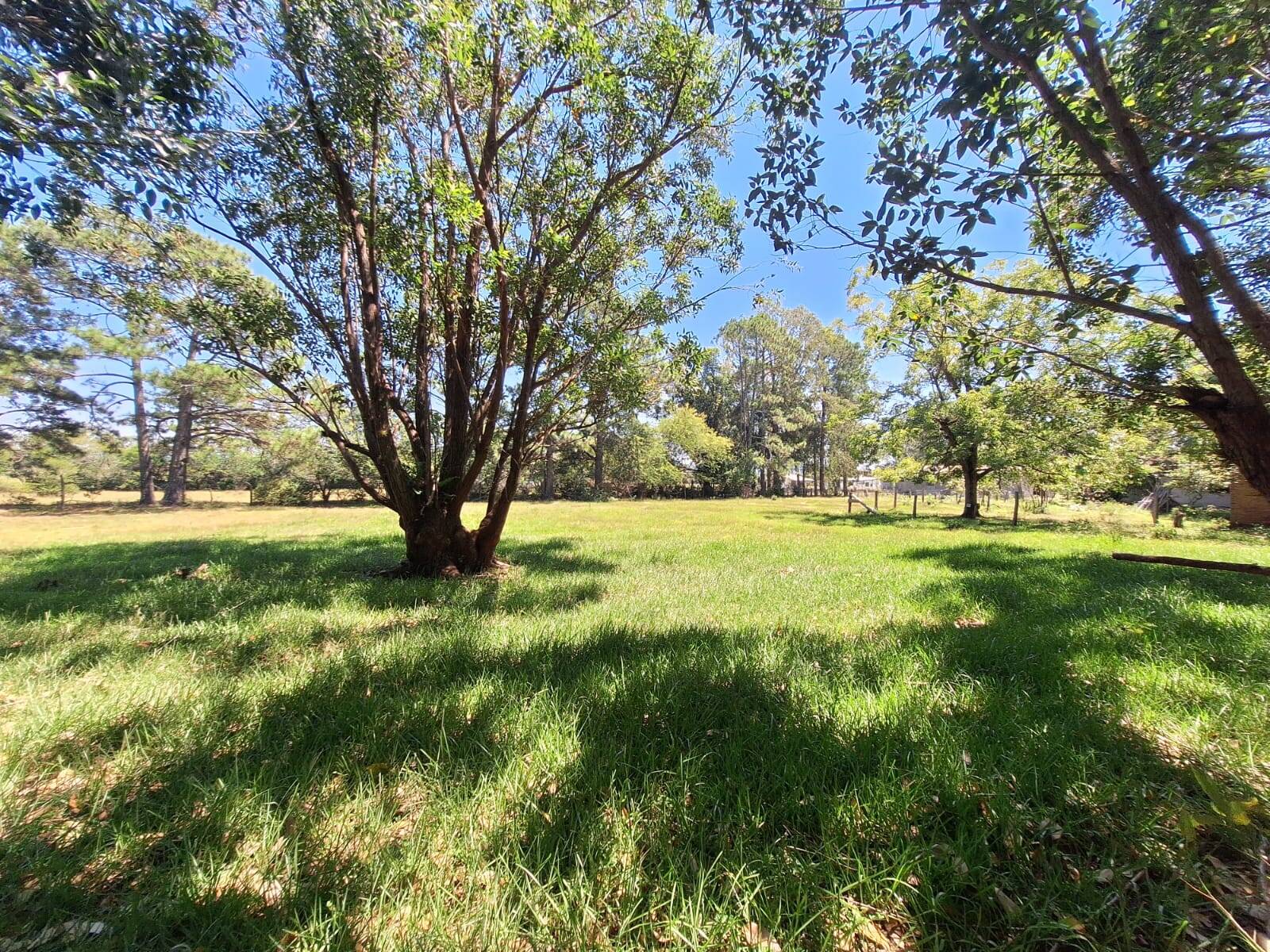 Sítio, 3 quartos, 1 hectares - Foto 29