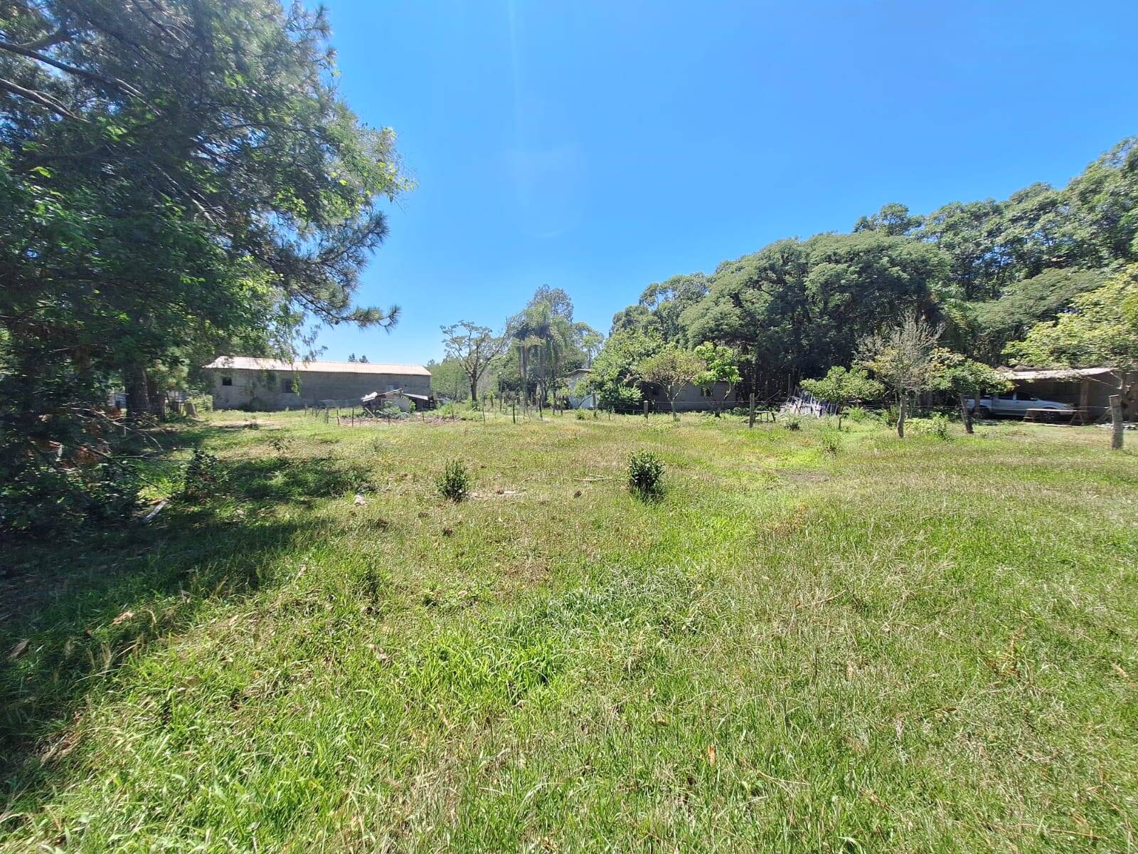 Sítio, 3 quartos, 1 hectares - Foto 30