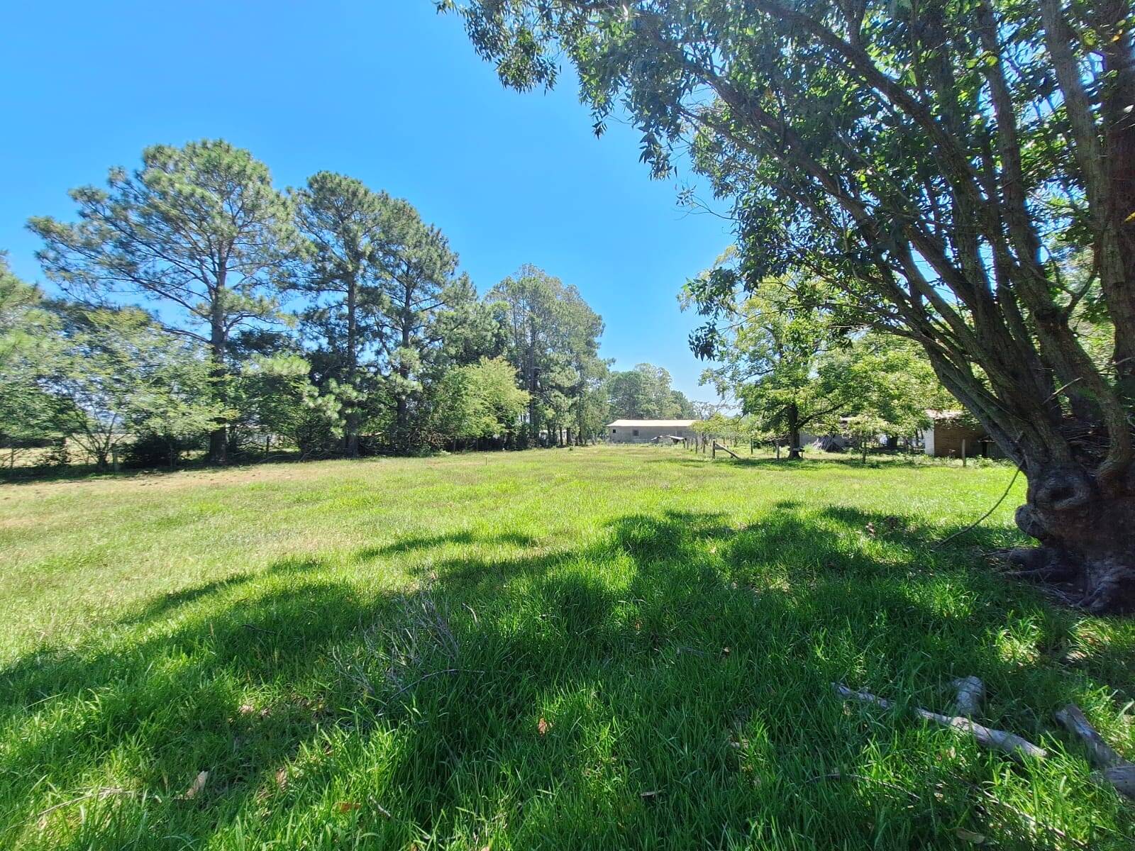 Sítio, 3 quartos, 1 hectares - Foto 32