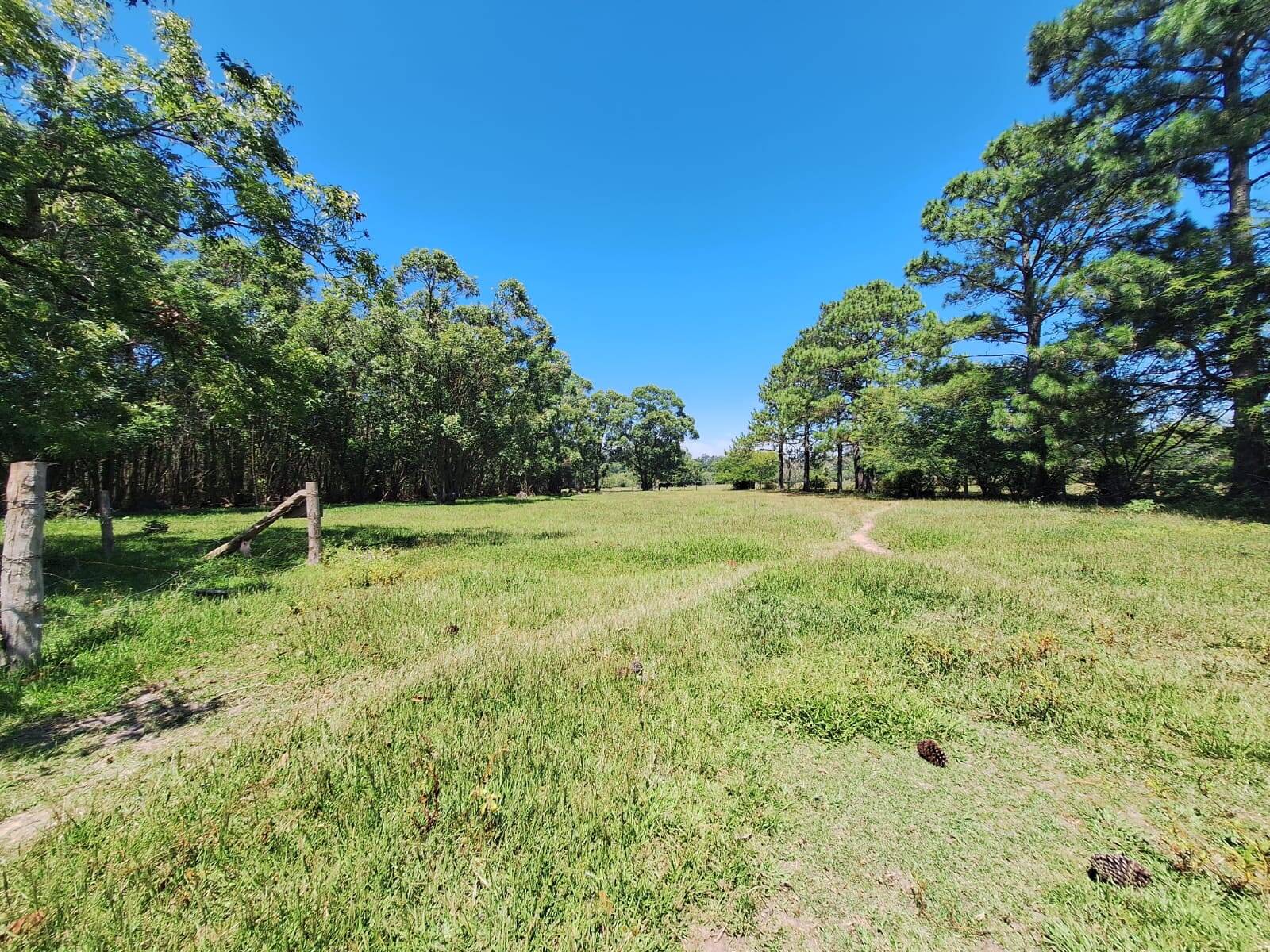 Sítio, 3 quartos, 1 hectares - Foto 33