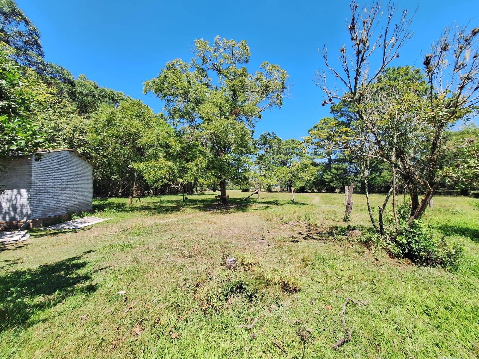 Sítio, 3 quartos, 1 hectares - Foto 35