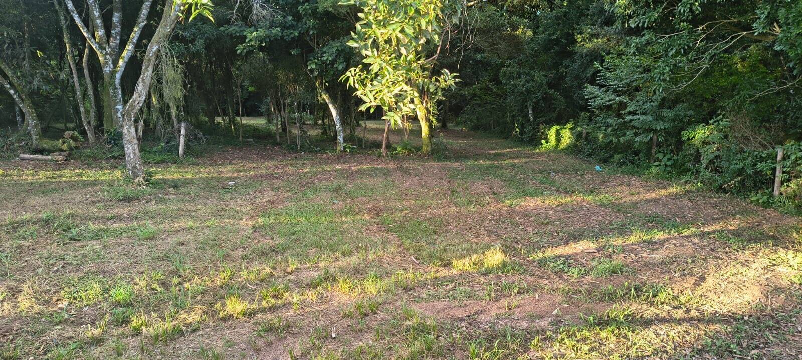 Terreno, 1035 m² - Foto 2