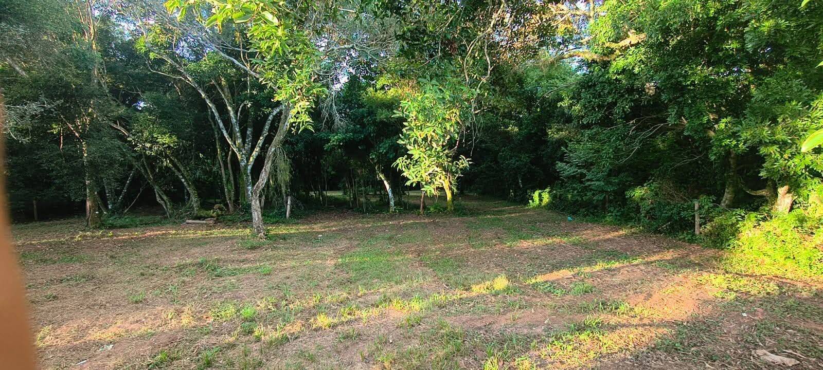 Terreno, 1035 m² - Foto 1