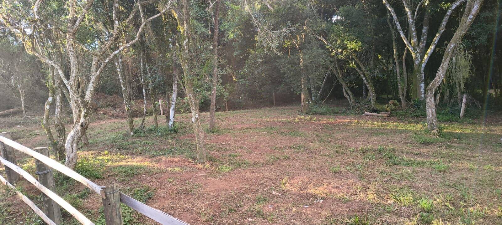 Terreno, 1035 m² - Foto 3