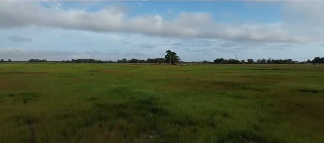 #FZD007 - Fazenda para Venda em São José do Norte - RS