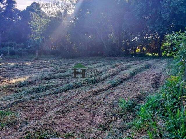 #PMG003 - Terreno em condomínio Fechado para Venda em Viamão - RS - 2