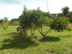 #QUE001 - Casa em Condomínio Fechado para Venda em Viamão - RS - 3