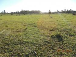 #LMT003 VEN - Sítio para Venda em Viamão - RS