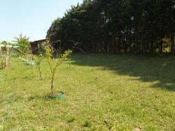 #PCQII005 v - Casa em Condomínio Fechado para Venda em Viamão - RS