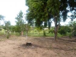 #MRG011 ven - Sítio para Venda em Viamão - RS