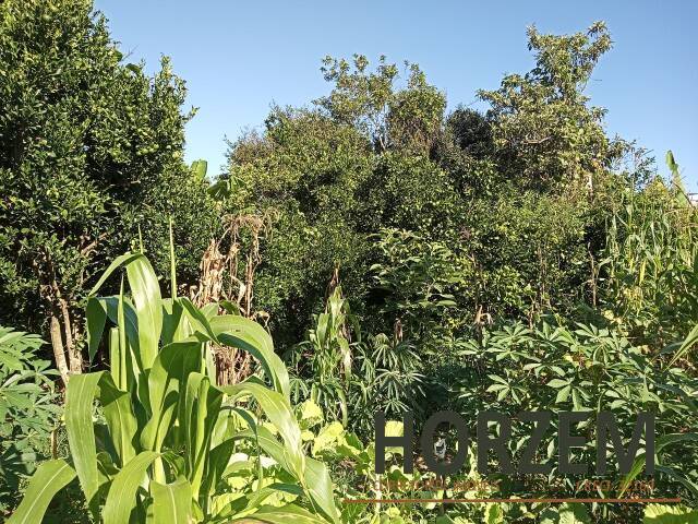 #QUE006 ven - Terreno em condomínio Fechado para Venda em Viamão - RS - 2