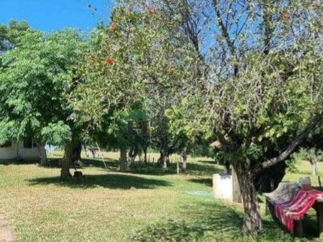 #LMB001ven - Sítio para Venda em Viamão - RS - 3