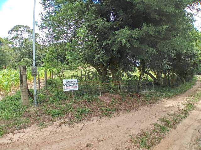 Venda em Águas Claras - Viamão