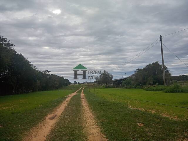 Venda em Águas Claras - Viamão