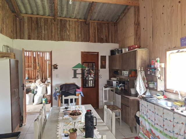 #ACL037 - Sítio para Venda em Viamão - RS - 2