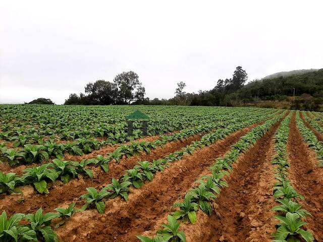 #STS001 - Chácara para Venda em Sertão Santana - RS