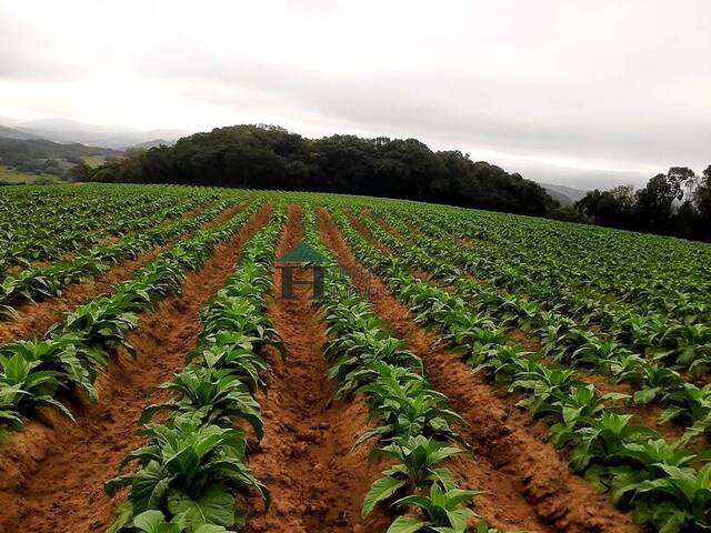 #STS001 - Chácara para Venda em Sertão Santana - RS