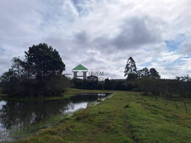 #PVM008 - Sítio para Venda em Viamão - RS - 3