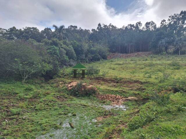 #PVM007 - Sítio para Venda em Viamão - RS - 3
