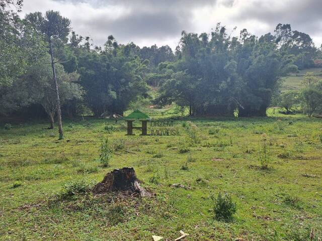 #PVM007 - Sítio para Venda em Viamão - RS - 1